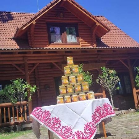 Dom Árgyélus - Árgyélus ház - Fesztypark Hotel Martovce Kültér fotó