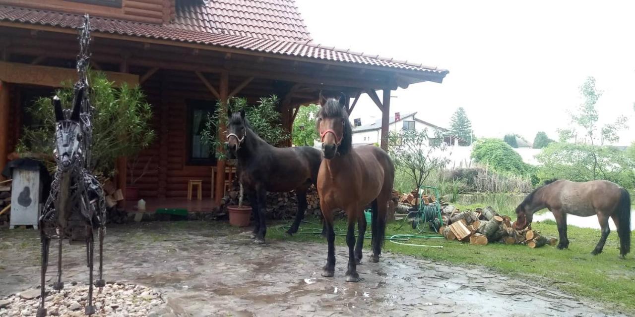 Dom Árgyélus - Árgyélus ház - Fesztypark Hotel Martovce Kültér fotó